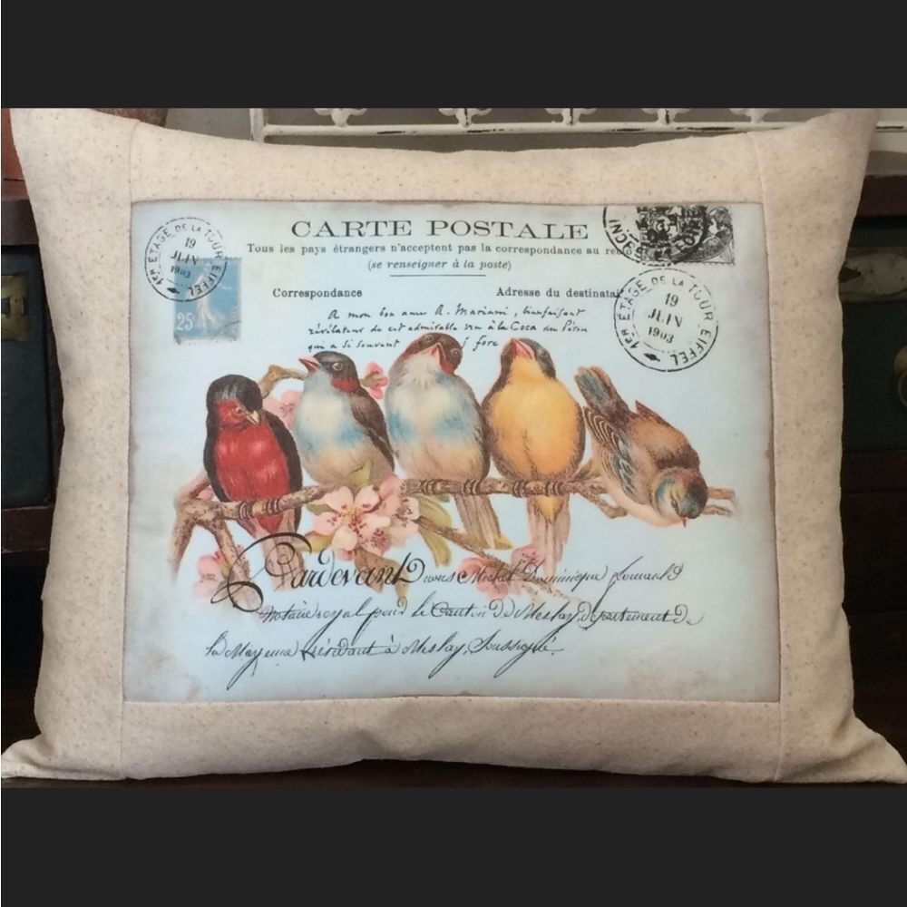 🐦French Birds Vintage Style Pillow